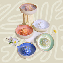 Load image into Gallery viewer, Dino Juicer